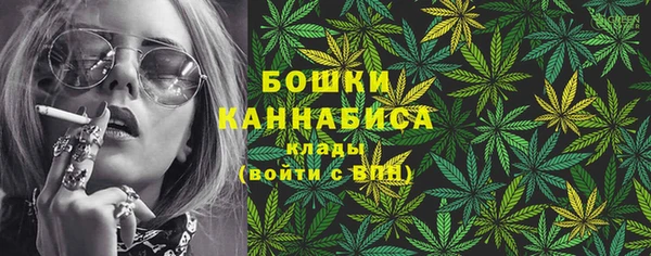 соль ск Богданович