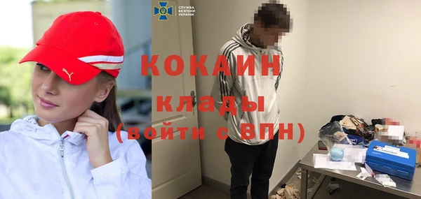 соль ск Богданович