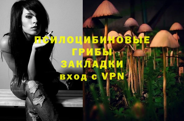 MDMA Premium VHQ Богородицк