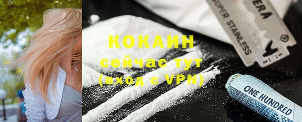 соль ск Богданович