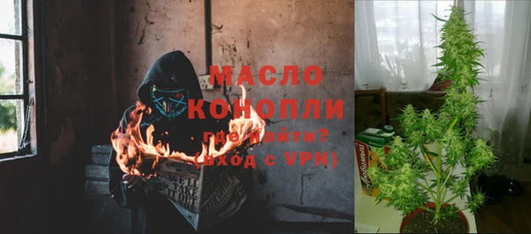 соль ск Богданович