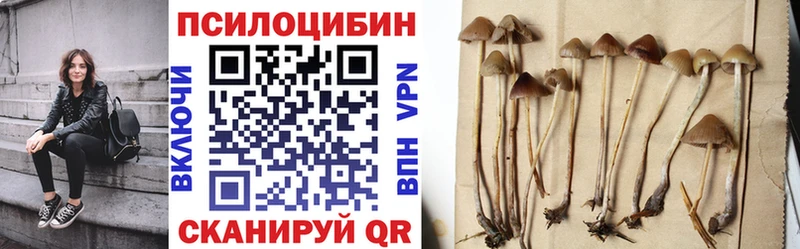 Галлюциногенные грибы Magic Shrooms  мега tor  Курильск  наркотики 